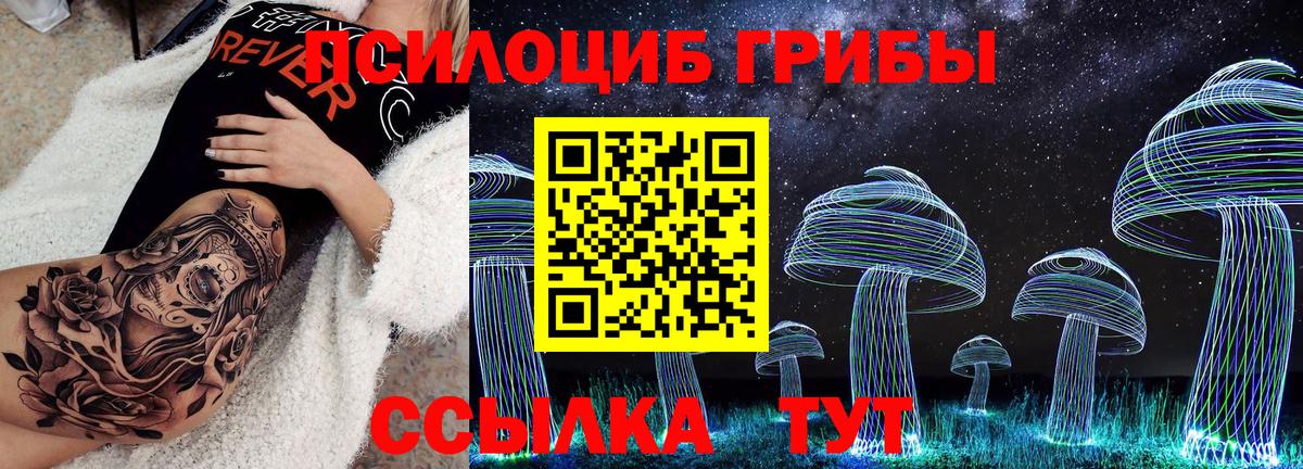 Галлюциногенные грибы прущие грибы Белгород