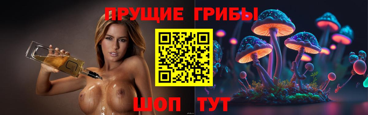 Галлюциногенные грибы GOLDEN TEACHER  Галлюциногенные грибы Psilocybe  Вход с VPN  Белгород 